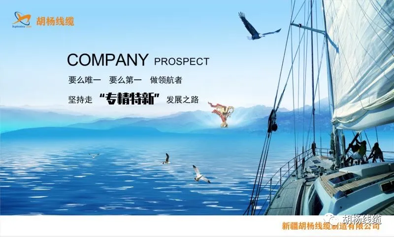 1602650938218171.jpg 1.jpg