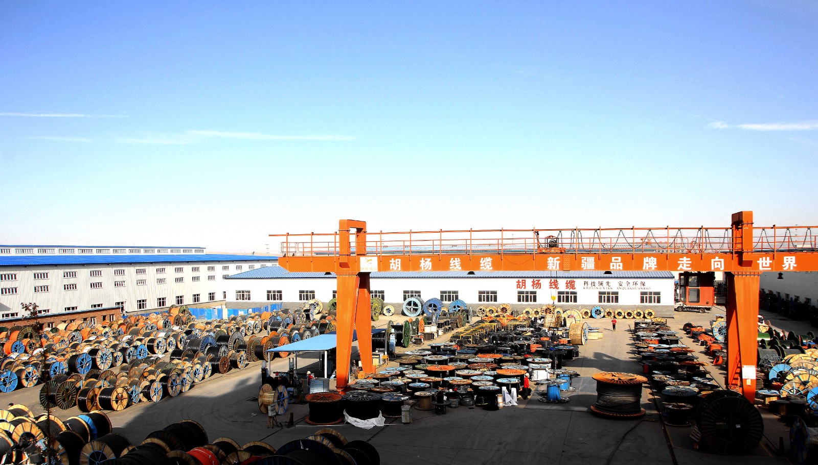 1606539930527053.jpg 1606539930527053.jpg