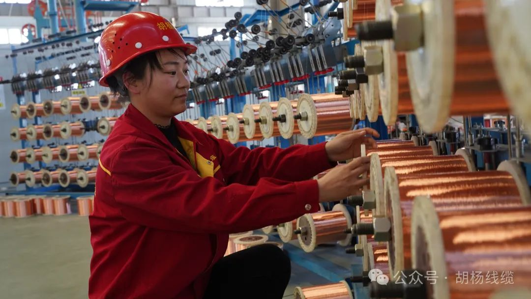 1730087983615440.png 圖片 10.png